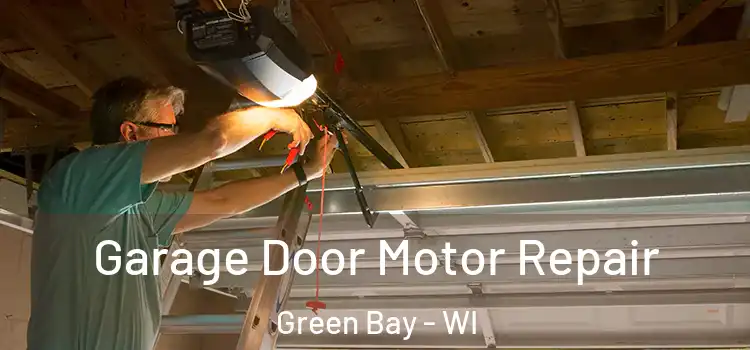  Garage Door Motor Repair Green Bay - WI