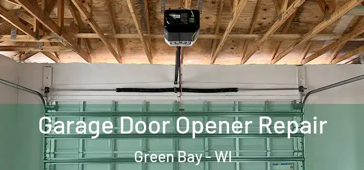  Garage Door Opener Repair Green Bay - WI