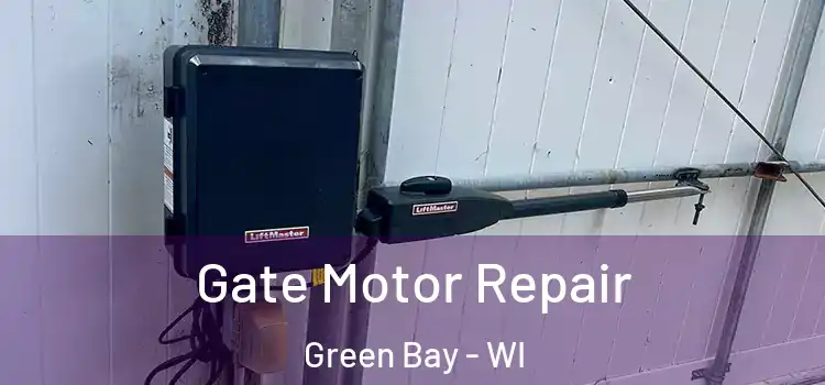  Gate Motor Repair Green Bay - WI